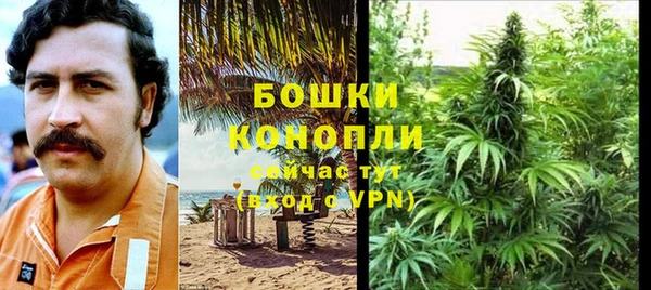 ешки Алзамай